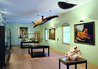 Bild: Blick in die Kunst- und Wunderkammer Burg Trausnitz