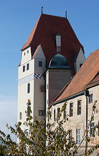 Link zur Website der Stadt Landshut (mit Turmfalken-Webcam)
